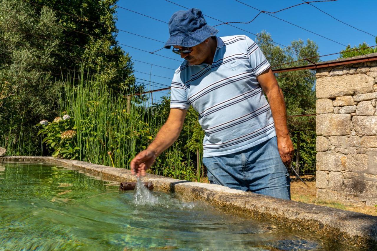 Chale Da Quinta "Lavoura Da Bouca - Fruta Bio" Pensionat Celorico De Basto Exteriör bild