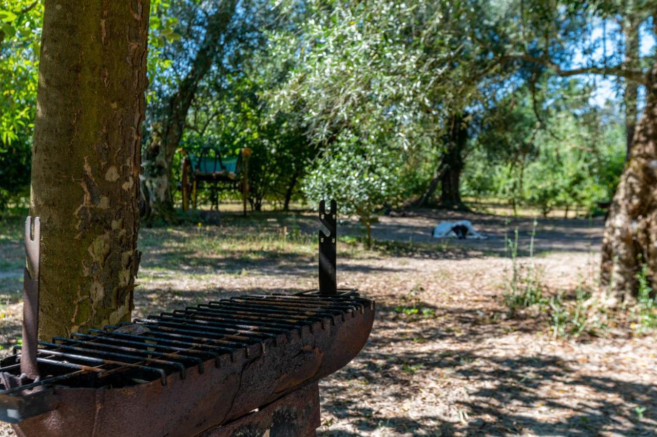 Chale Da Quinta "Lavoura Da Bouca - Fruta Bio" Pensionat Celorico De Basto Exteriör bild