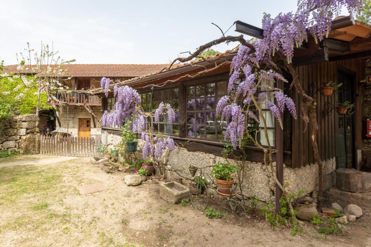 Chale Da Quinta "Lavoura Da Bouca - Fruta Bio" Pensionat Celorico De Basto Exteriör bild