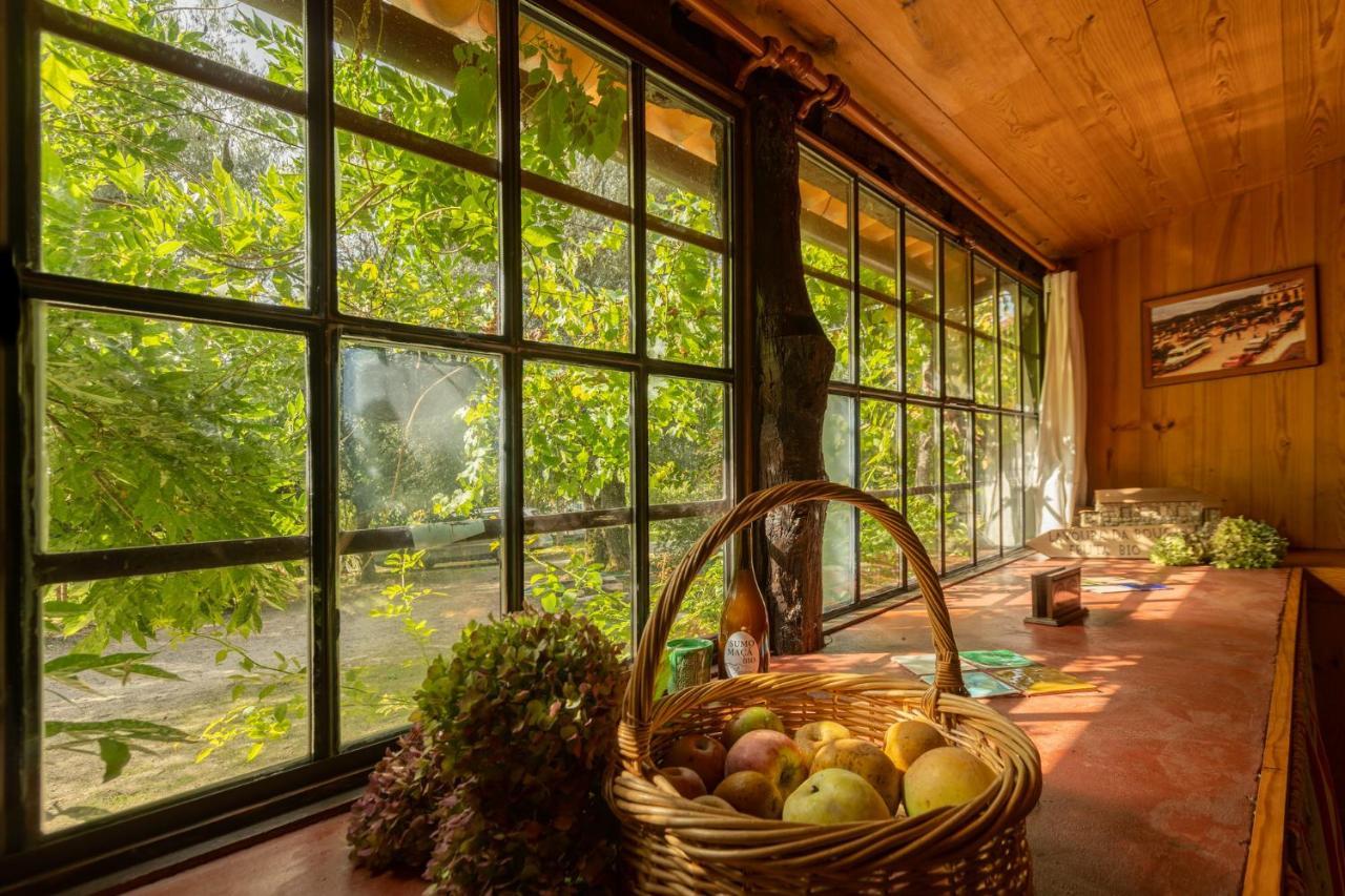 Chale Da Quinta "Lavoura Da Bouca - Fruta Bio" Pensionat Celorico De Basto Exteriör bild