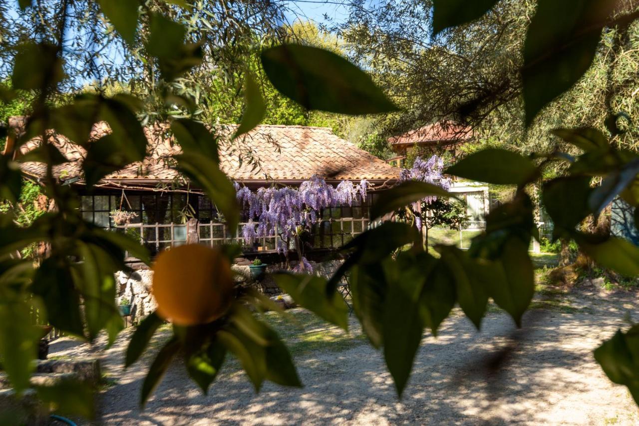 Chale Da Quinta "Lavoura Da Bouca - Fruta Bio" Pensionat Celorico De Basto Exteriör bild