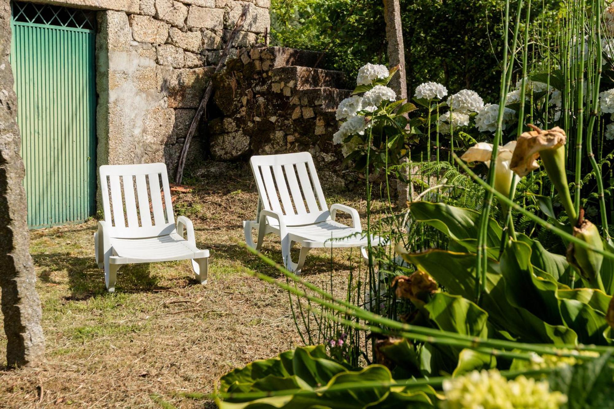 Chale Da Quinta "Lavoura Da Bouca - Fruta Bio" Pensionat Celorico De Basto Exteriör bild