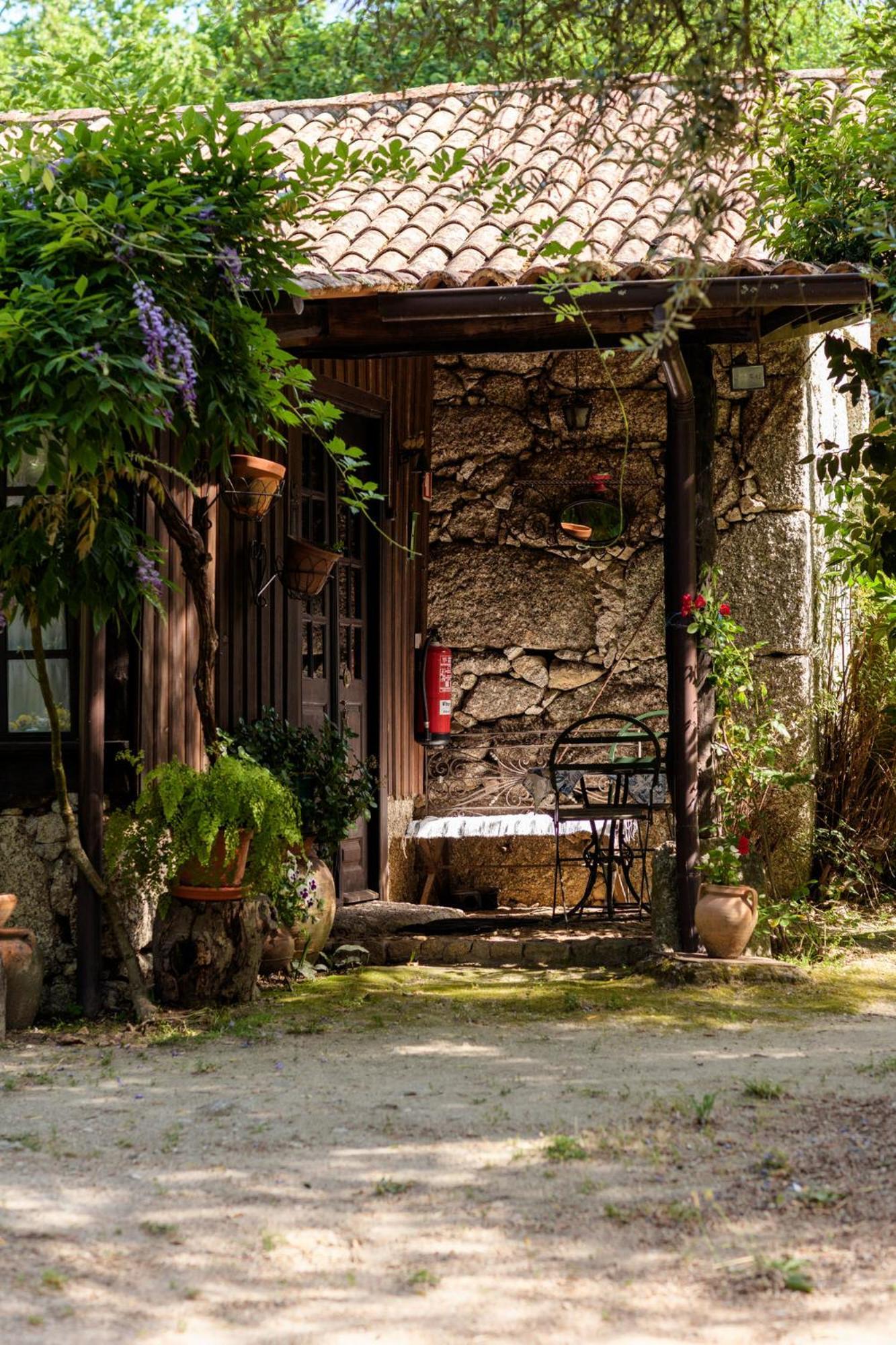 Chale Da Quinta "Lavoura Da Bouca - Fruta Bio" Pensionat Celorico De Basto Exteriör bild