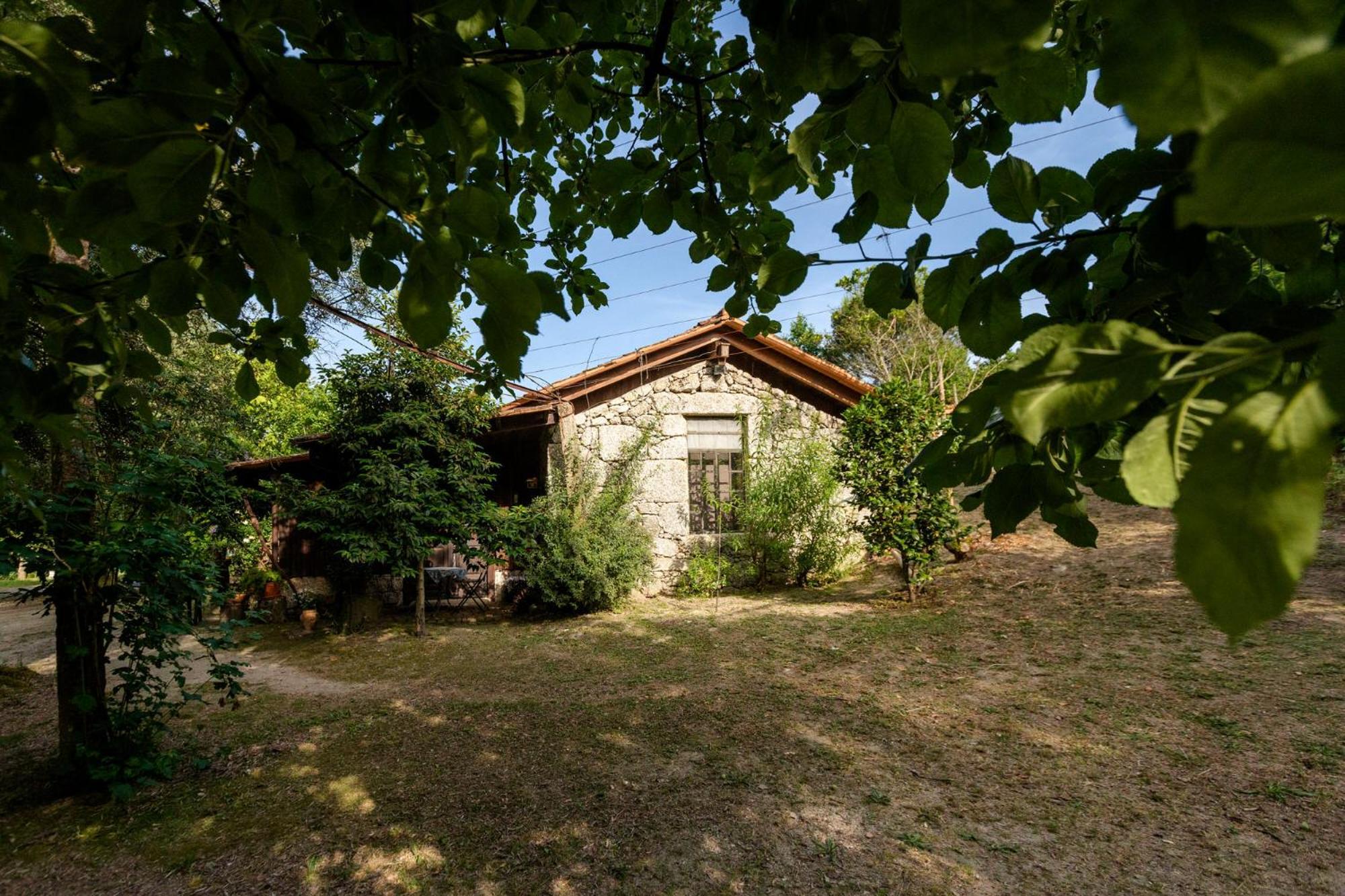 Chale Da Quinta "Lavoura Da Bouca - Fruta Bio" Pensionat Celorico De Basto Exteriör bild