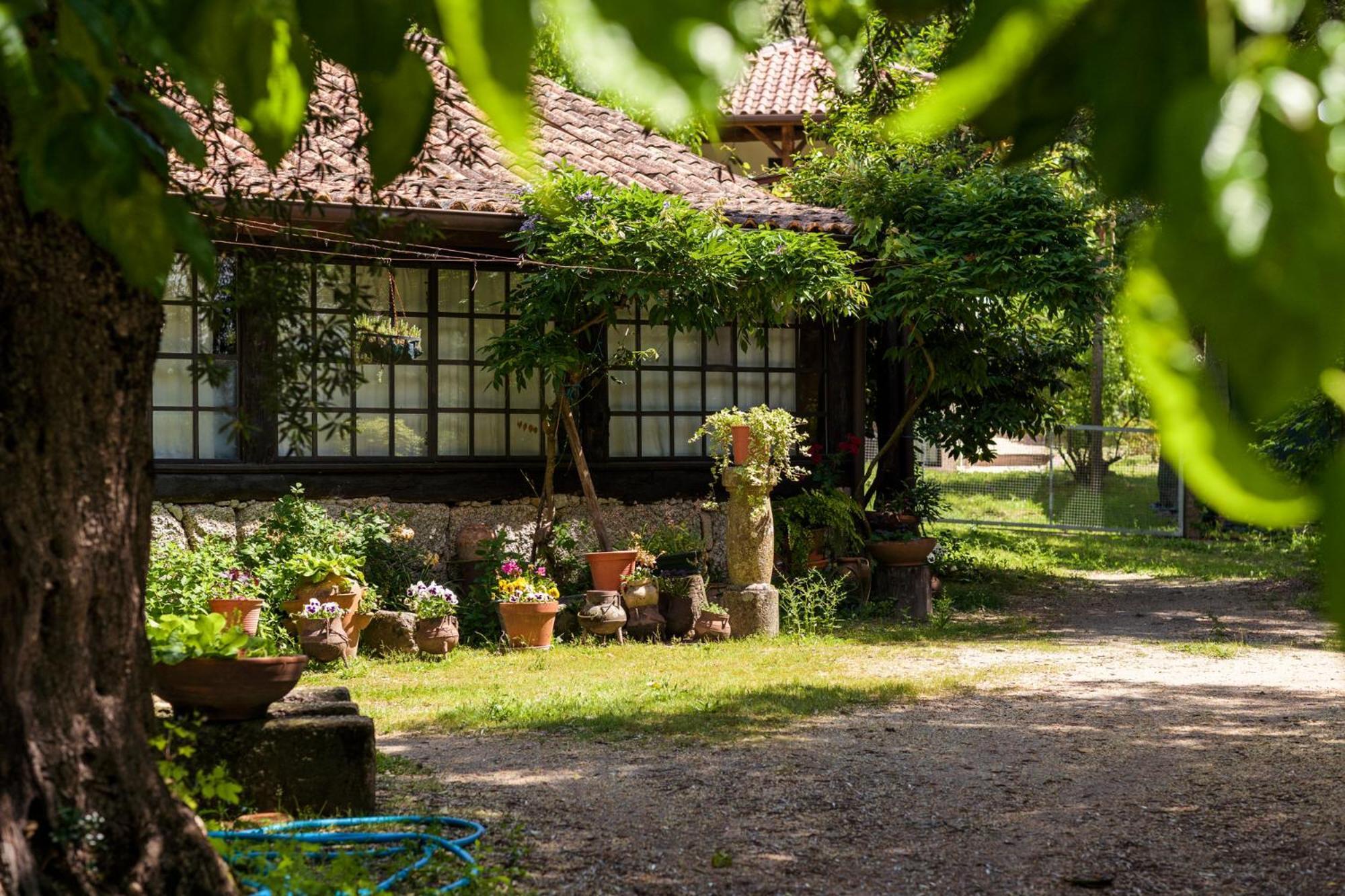 Chale Da Quinta "Lavoura Da Bouca - Fruta Bio" Pensionat Celorico De Basto Exteriör bild